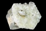 Calcite Crystal Cluster - Morocco #137140-1